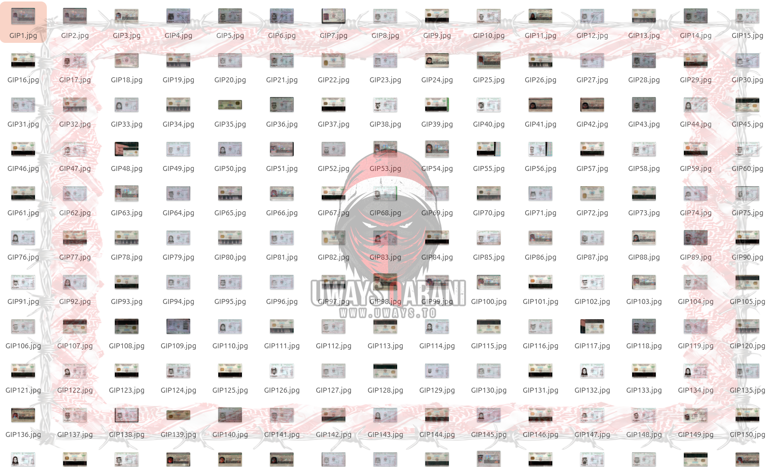 [Image: GIP1.png]