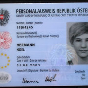 [Image: doc-3.jpg]