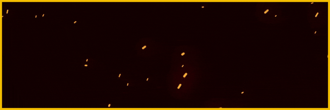 [Image: zndgRvD.gif]