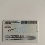 [Image: documentor-2.jpg]