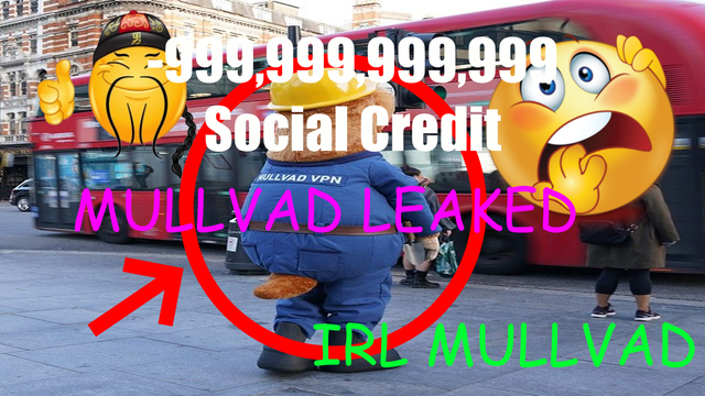 [Image: mullvad.png]