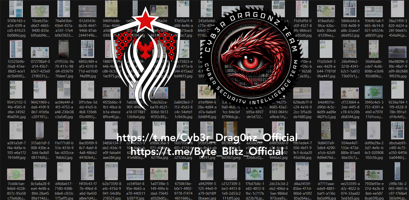 [Image: Screenshot-2025-02-19-104944-copy.png]