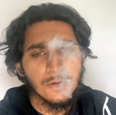 [Image: reveal.png]