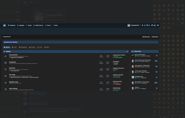 [Image: Screenshot-2025-01-03-201730.png]