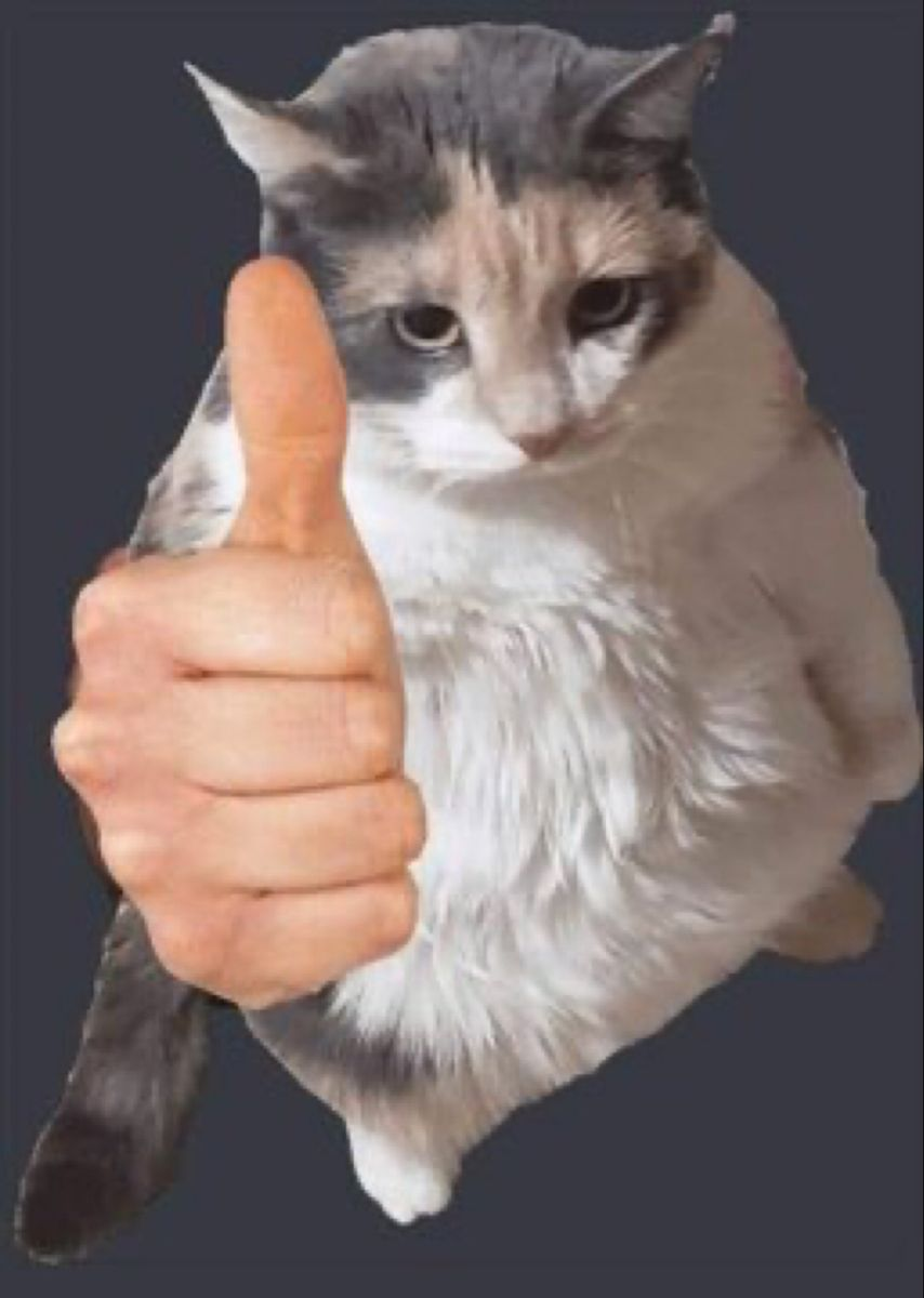 [Image: image.png]
