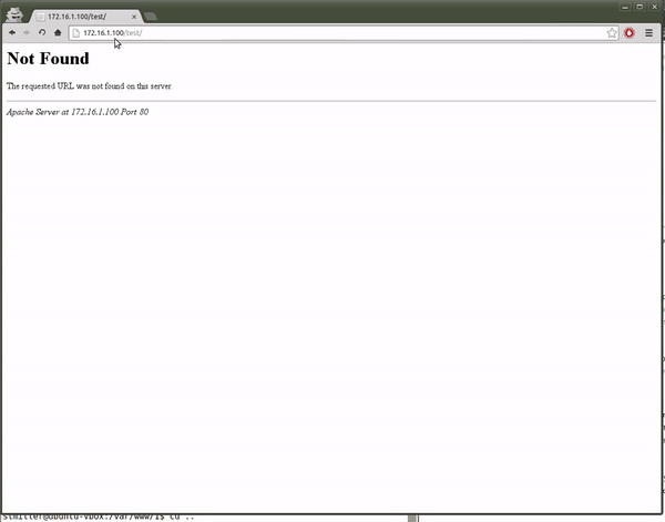 [Image: web-shell.gif]