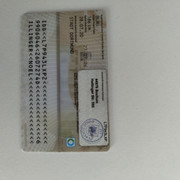 [Image: doc-5.jpg]