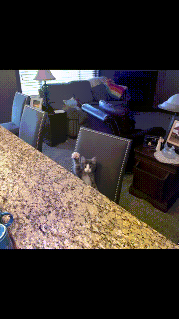[Image: video-2023-06-11-17-38-09.gif]