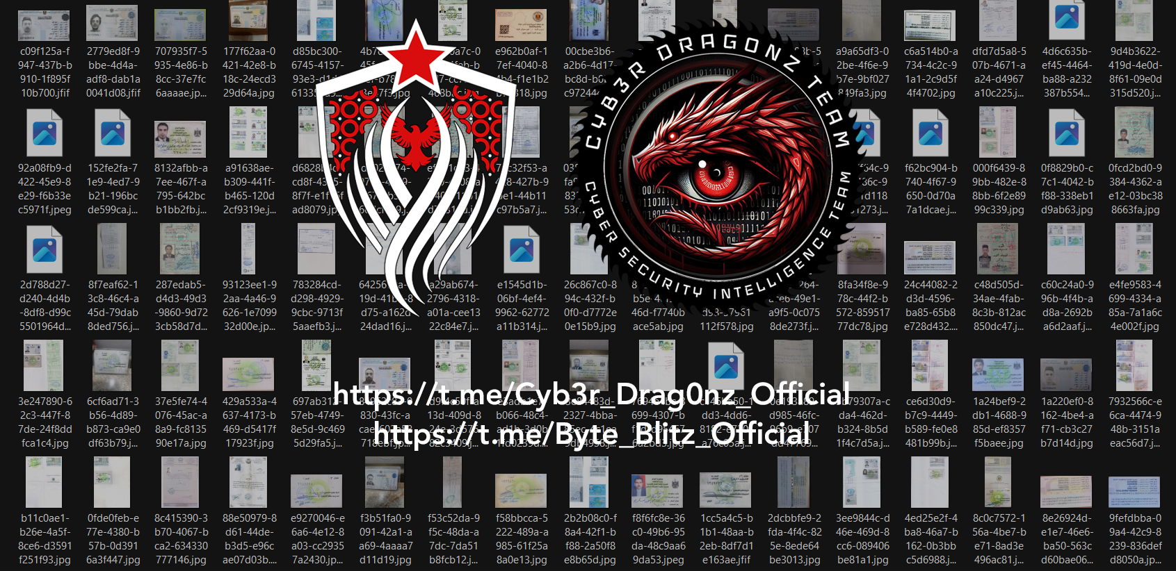 [Image: Screenshot-2025-02-19-104935-copy.png]