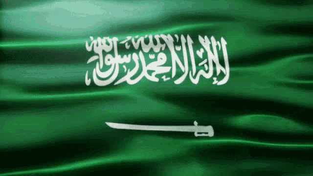 [Image: saudi-arabia-flag-gif.gif]