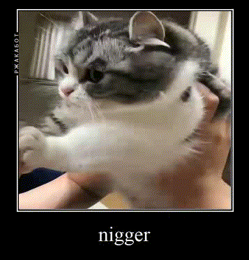 [Image: result.gif]