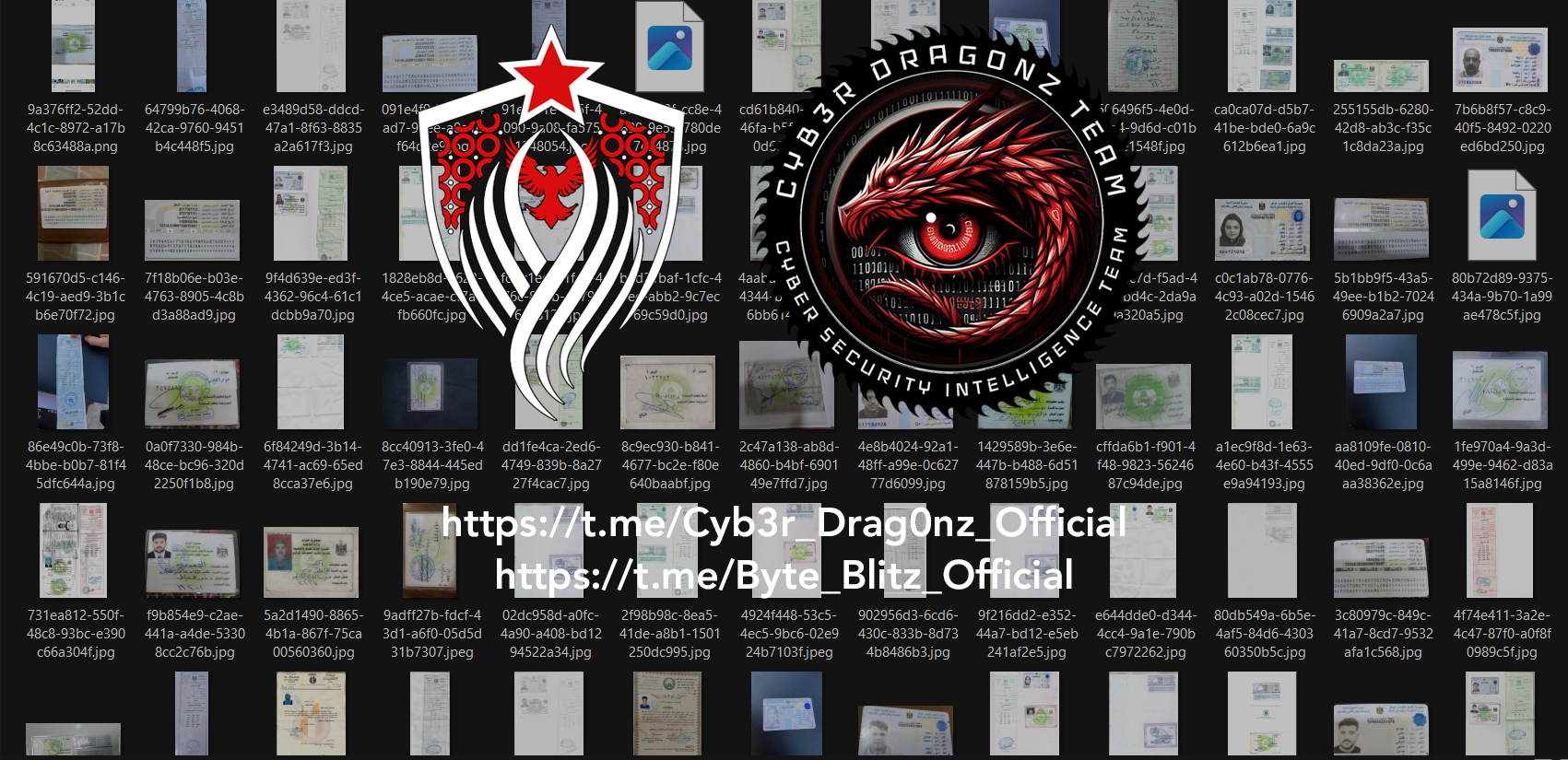 [Image: Screenshot-2025-02-19-104925-copy.png]